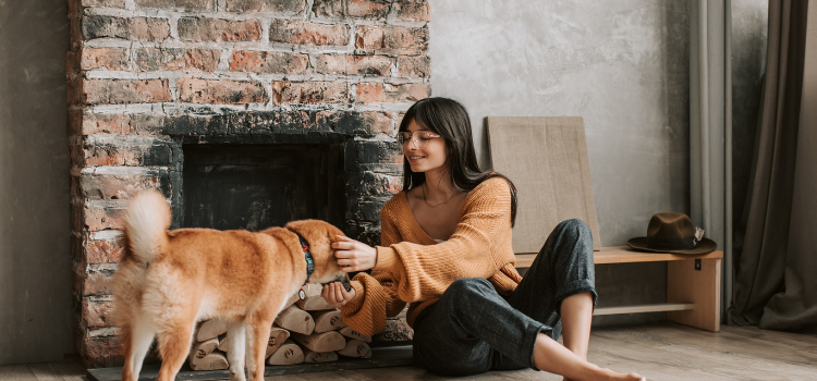 pet home
