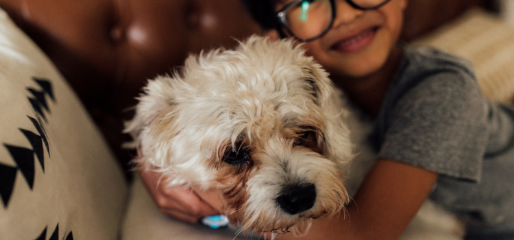 pet