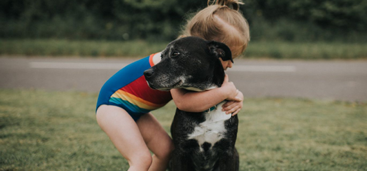 professional ESA letter for housing lying next to a happy emotional support dog in a modern apartment, symbolizing legal pet-fee exemptions under HUD 2026 guidelines.