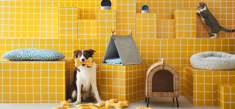 Condo resident presenting ESA housing letter to HOA board under Fair Housing Act guidelines