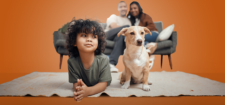 Emotional support dog providing comfort at home with licensed ESA letter for housing, showing legal protections and mental health support”