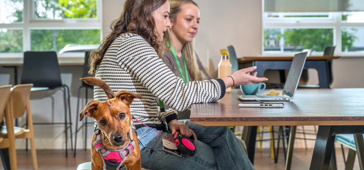 A tenant successfully using an emotional support animal letter for housing to live with their support dog and cat.