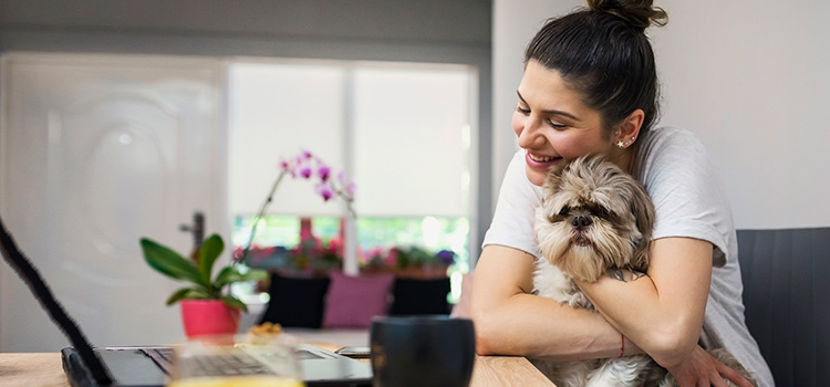 A traveler with their support Beagle at an airport displaying a clinically verified 2026 digital travel document on their smartphone.
