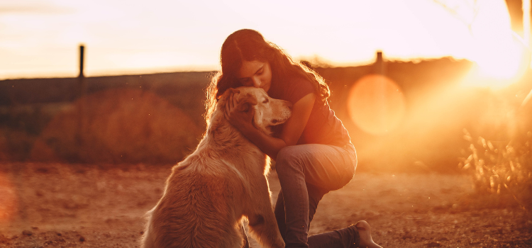 Pets